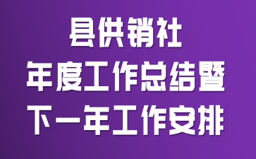 县供销社年度工作总结暨下一年工作安排
