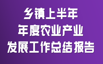 �����ϰ������ũҵ��ҵ��չ�����ܽᱨ��