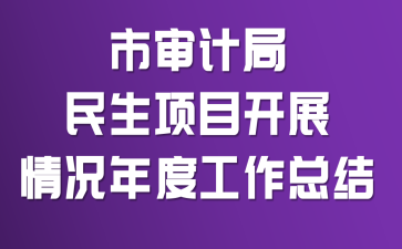 市审计局民生项目开展情况年度工作总结