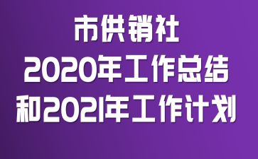 �й�����2020�깤���ܽ��2021�깤���ƻ�