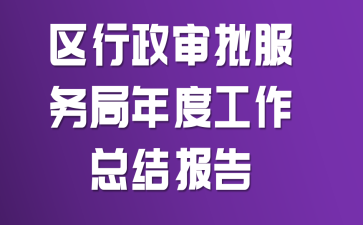 区行政审批服务局年度工作总结报告