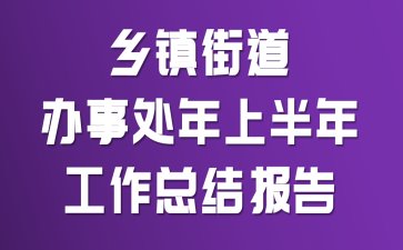 乡镇街道办事处上半年工作总结报告