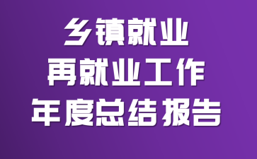 �����ҵ�پ�ҵ��������ܽᱨ��