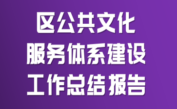 区公共文化服务体系建设工作总结报告