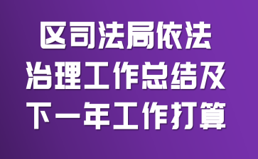 区司法局依法治理工作总结及下一年工作打算