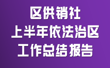 区供销社上半年依法治区工作总结报告