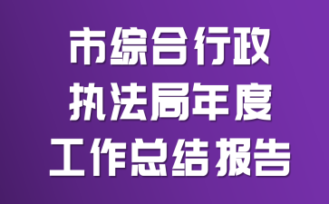 ���ۺ�����ִ������ȹ����ܽᱨ��