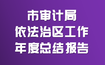 市审计局依法治区工作年度总结报告