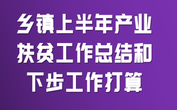 乡镇上半年产业扶贫工作总结和下步工作打算