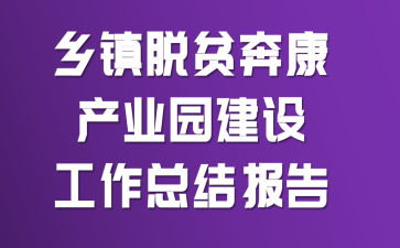 乡镇脱贫奔康产业园建设工作总结报告
