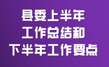 县委上半年工作总结和下半年工作要点