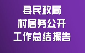 �������ִ���񹫿������ܽᱨ��