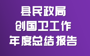 县民政局创国卫工作年度总结报告