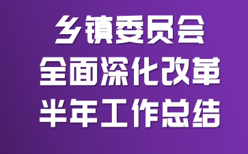 乡镇委员会全面深化改革半年工作总结