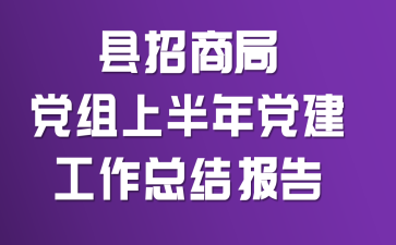 �����ֵ̾����ϰ��굳�������ܽᱨ��