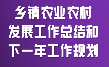 ����ũҵũ�巢չ�����ܽ����һ�깤���滮