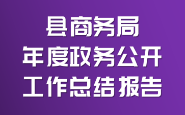 �������������񹫿������ܽᱨ��