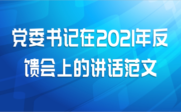 党委书记在2021年反馈会上的讲话范文