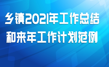 乡镇2021年工作总结和来年工作计划范例