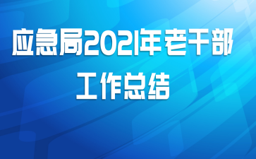 Ӧ����2021���ϸɲ������ܽ�