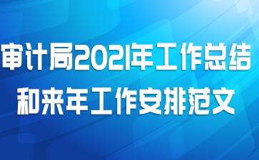 审计局2021年工作总结和来年工作安排范文