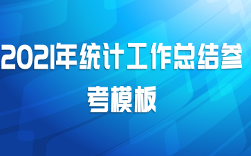 2021年统计工作总结参考模板